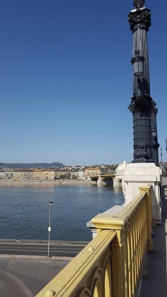 New, High Quality Apartment In The City Center Budapest Eksteriør billede